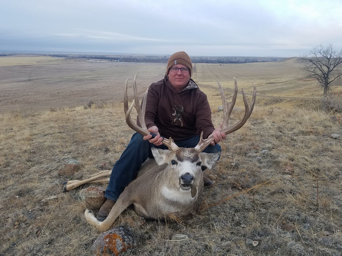 Hunting trophy